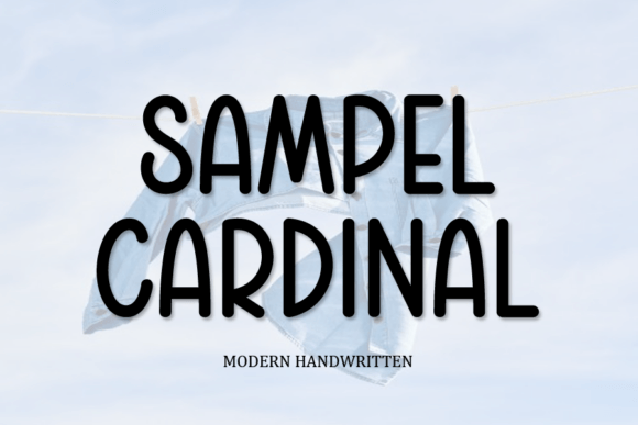 Sampel Cardinal Font: A Quirky Display Typeface Review